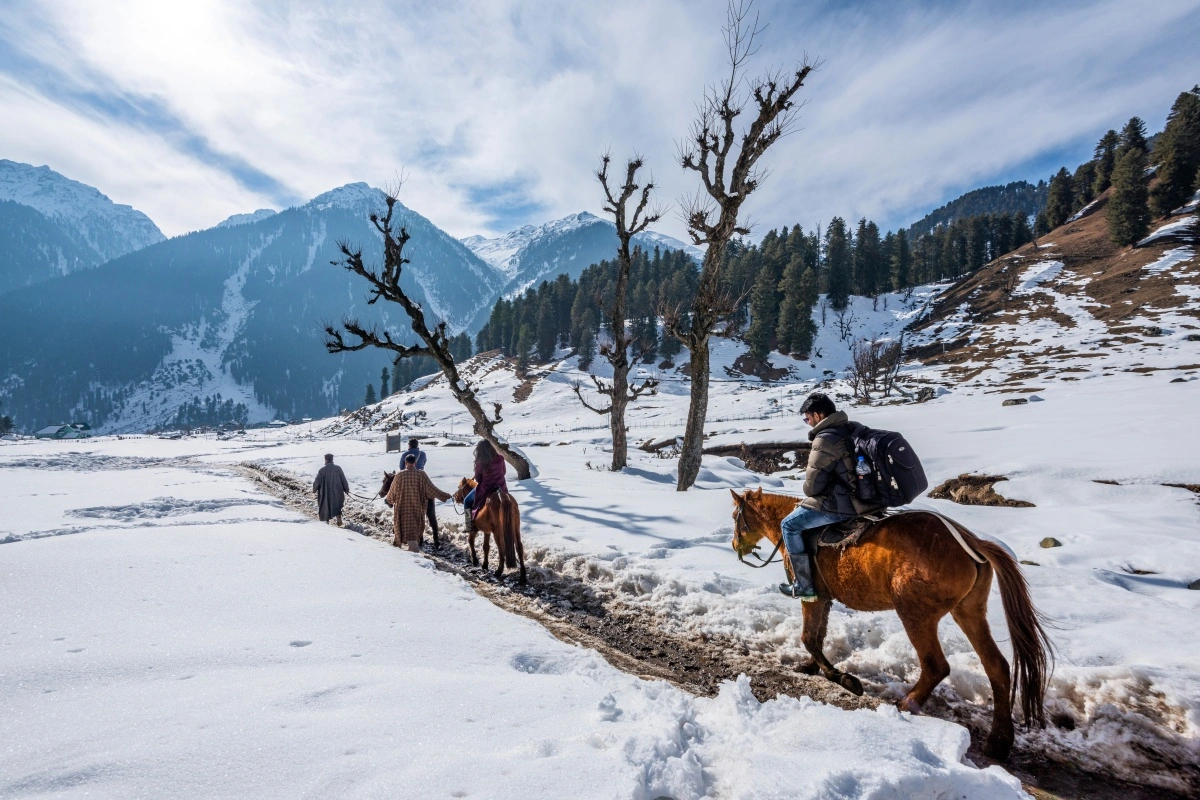 Snow-covered landscape with reindeer pilling a sleigh ina winter mountain region
