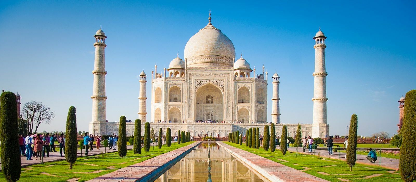 Professional private tour guide leading travelers through iconic attractions with personalized sightseeing and expert local knowledge daily.