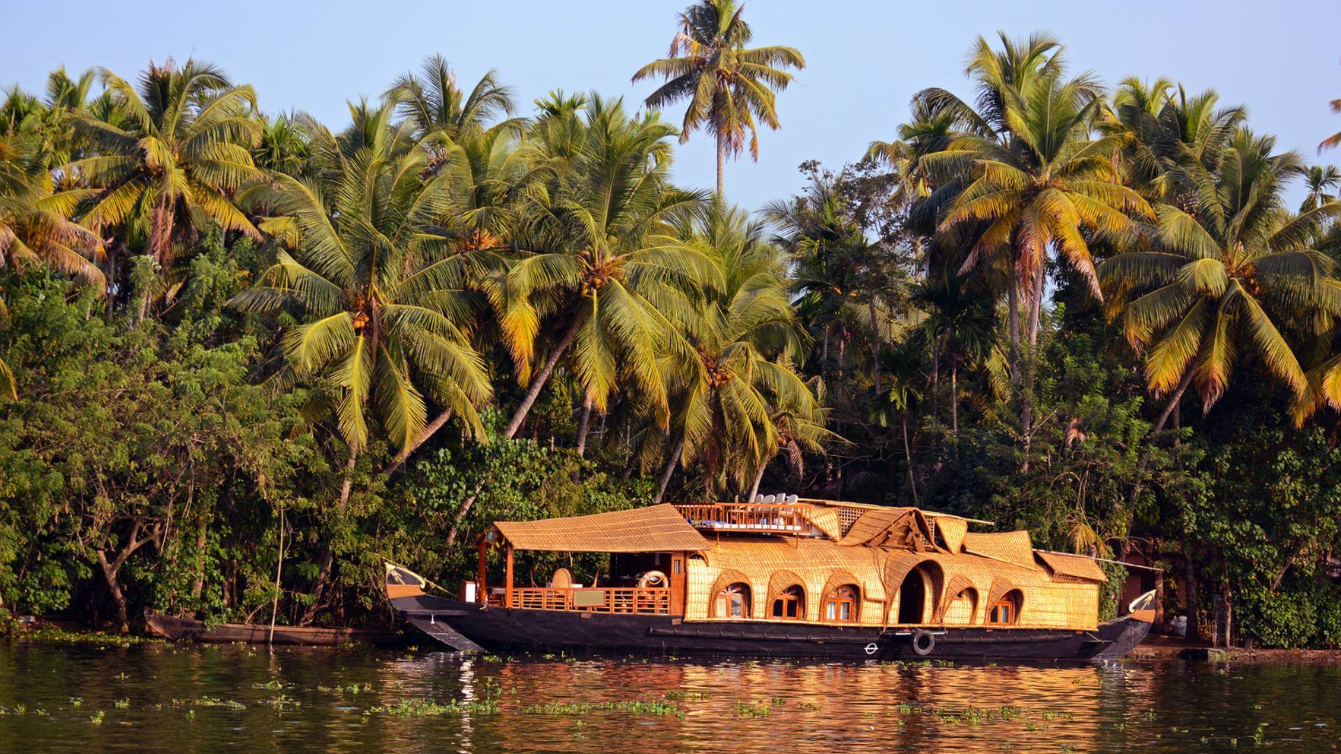 Kerala beaches and backwaters featuring serene houseboats, palm-lined canals, golden shores, and breathtaking natural beauty together.