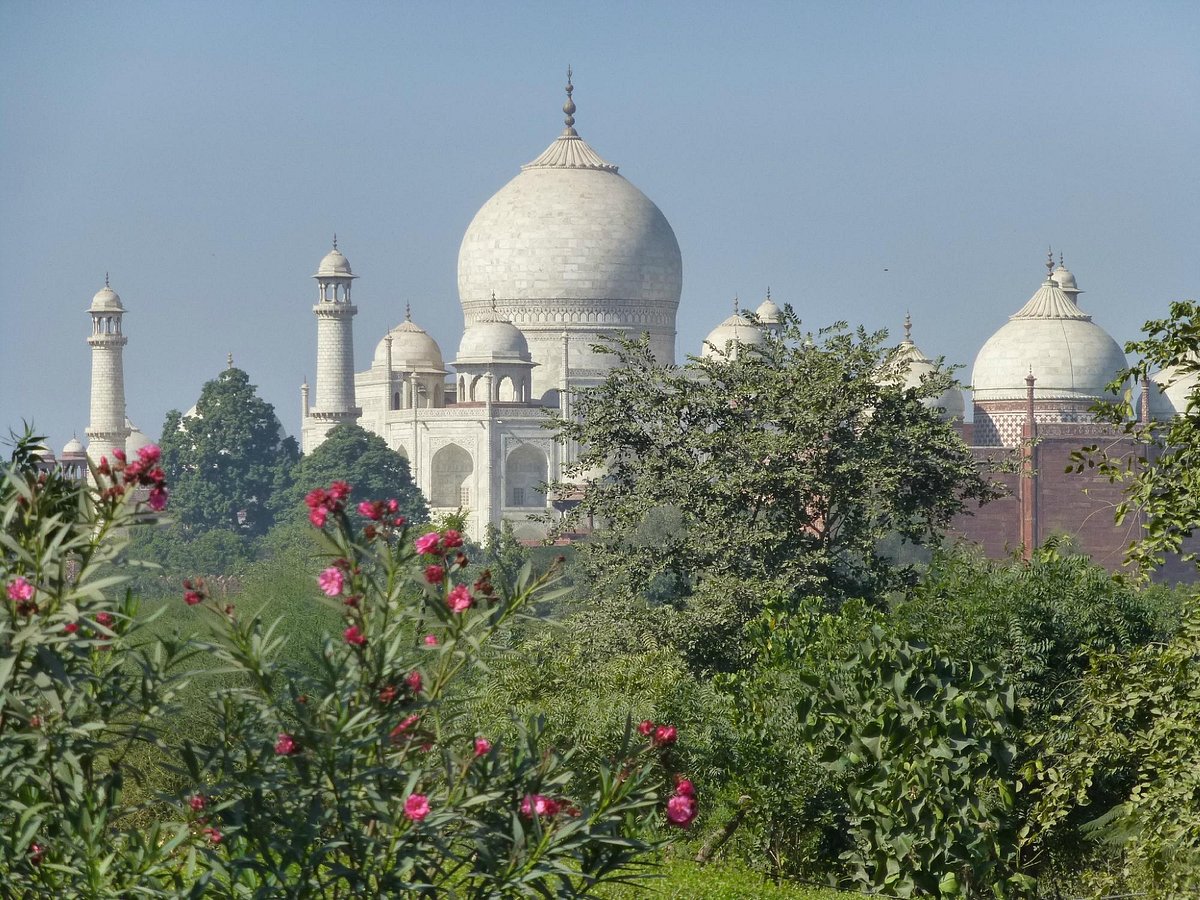 Taj Nature Walk offering peaceful trails, lush greenery, birdwatching, and stunning Taj Mahal views for visitors together.