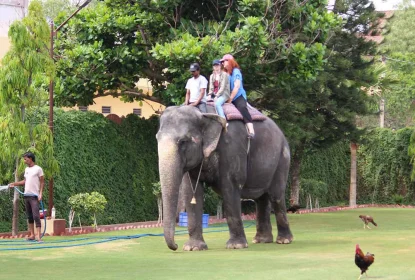Elephant Village jaipur elephant safari rajasthan india