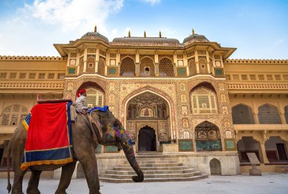Jaipur, Rajasthan, India, December 11,2017: Decorated Indian elephant in front of Amber Fort Palace Jaipur gateway.