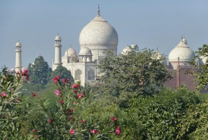 Taj Mahal view through lush greenery and pink flowers